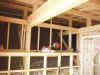 2004123daikusigoto5.JPG (84709 oCg)