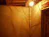 2004123zoutiku1.JPG (81546 oCg)