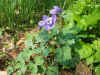 P1010015.JPG (93064 oCg)