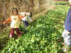 PB220039.JPG (94981 oCg)