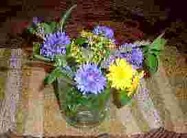 1998.6.8harve2.jpg (4062 バイト)