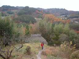 19981122countory4.jpg (7227 バイト)