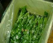 19981125nozawana7.jpg (5001 バイト)