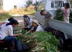 1998113taikonn3.jpg (5899 バイト)