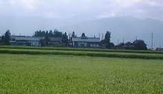 1998819jyounenn.jpg (4098 バイト)