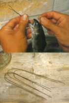 1998913woodylifeharigane.jpg (4189 バイト)