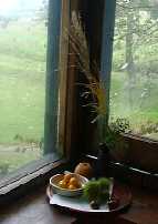 199896tukimi.jpg (4802 バイト)