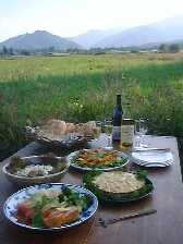 199899rasenu1.jpg (6502 バイト)