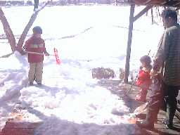 1999323yukikaki.jpg (7575 バイト)