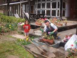 1999417hana.jpg (11440 バイト)