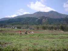 1999420hatake1.jpg (5427 バイト)