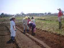 1999420hatake1a.jpg (5706 バイト)