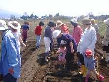 1999420hatake2.jpg (7645 バイト)