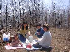 1999422fukinotou3.jpg (9959 バイト)