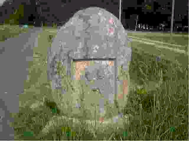 1999523hosono3.jpg (8493 バイト)