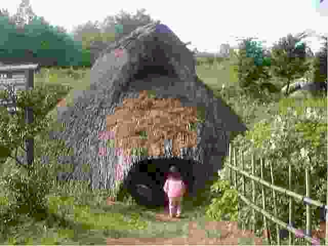 1999523hosono6.jpg (10938 バイト)