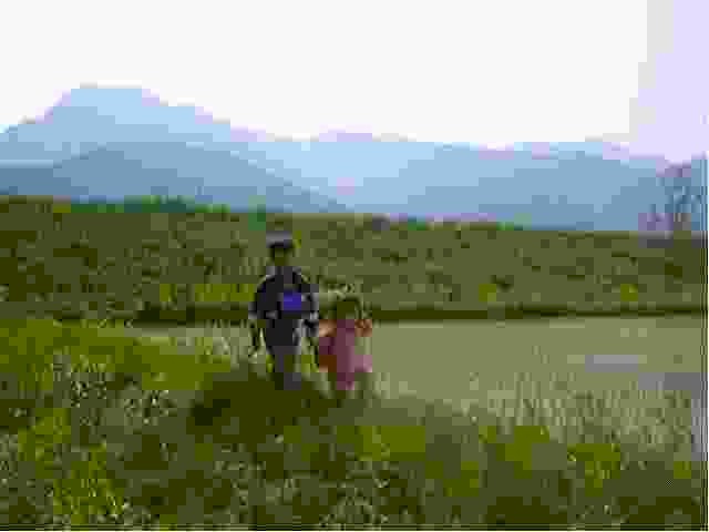 1999523hosono9.jpg (7191 バイト)