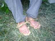 1999711syutaina13.jpg (6469 バイト)