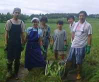 1999814hatake.jpg (5534 バイト)