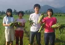 1999817hatake.jpg (5972 バイト)