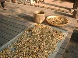 199995azuki.jpg (11121 バイト)