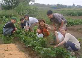 199996hakake1.jpg (8718 バイト)