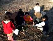 200026jinntai2.jpg (5697 バイト)