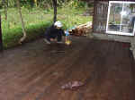 20011018derannda2.JPG (82348 バイト)