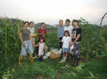 200188hatake5.JPG (92193 バイト)