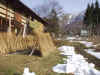 20021120maki13.JPG (93595 バイト)