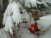 20021211moria3.JPG (122990 バイト)