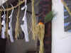 20021226matukazari3.JPG (89305 バイト)