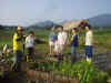2002718hatake2.JPG (86024 バイト)