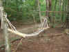 200297hanmokku.JPG (91884 バイト)