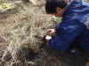 2003322pa13.JPG (840097 バイト)