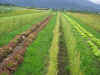 2003628pama3.JPG (87966 バイト)