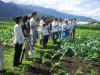 2003628pama6.JPG (92847 バイト)