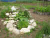 2003718hatake9995.JPG (87998 バイト)