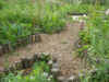 2003718hatake99991.JPG (91592 バイト)