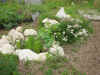 2003718hatake99994.JPG (88187 バイト)