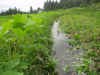 2003730tanbo3.JPG (89649 バイト)