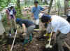 200373pamakiso9.jpg (183702 バイト)