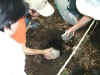 200373pamakisoa12jpg.jpg (53941 バイト)