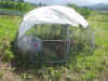 2003824tikin.JPG (90742 バイト)