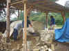 2003921cont6.JPG (91165 バイト)