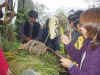 2003927pama96.JPG (88940 バイト)