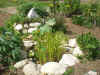 200397pama4.JPG (91494 バイト)