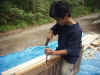 PA060004.JPG (90393 バイト)