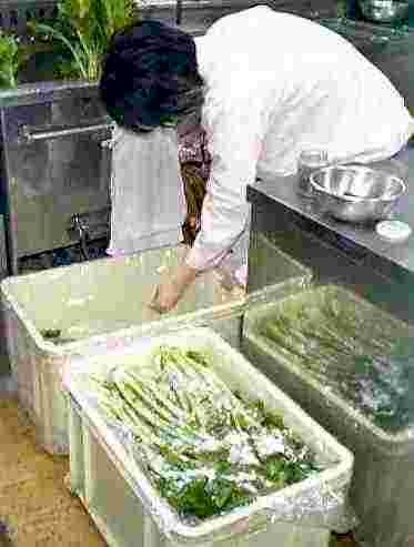 nousagyou11.25nozawanazuke.jpg (11163 バイト)